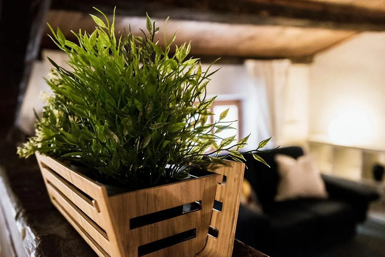 Bright Apartments Verona - Borsari Historical 0*,